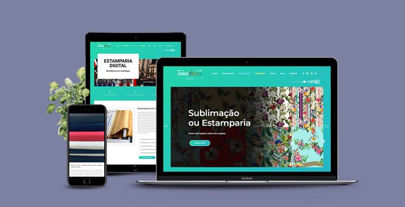 Criação de Site em Apucarana
